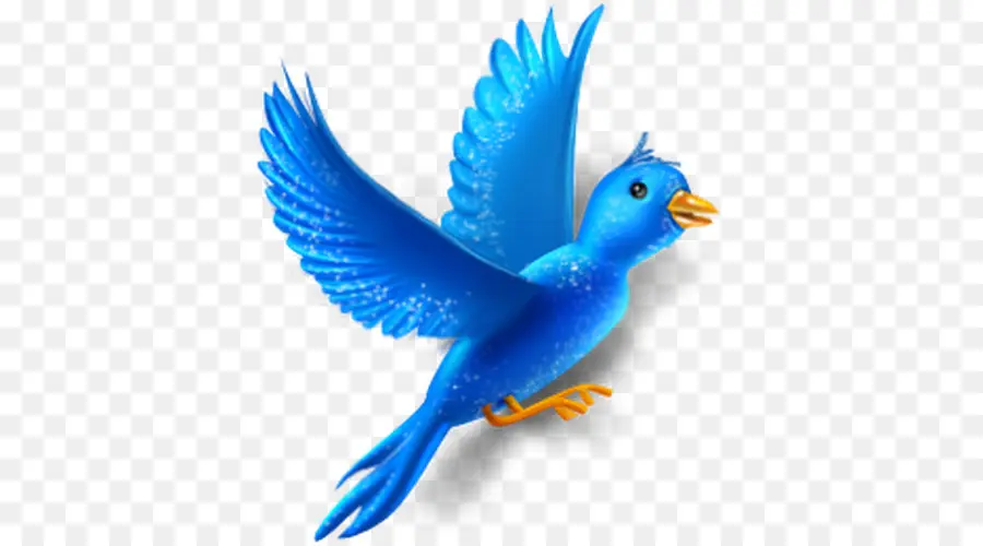 Blue Bird，Animasi PNG