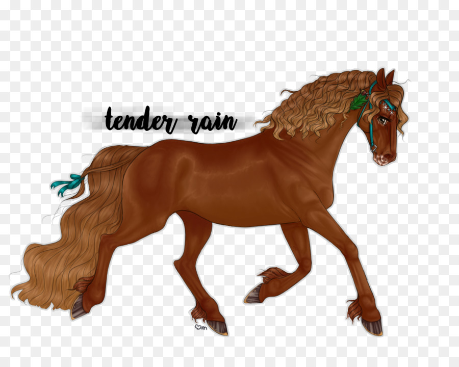 Mustang，Kuda PNG