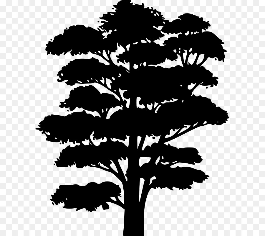 Siluet，Pohon PNG