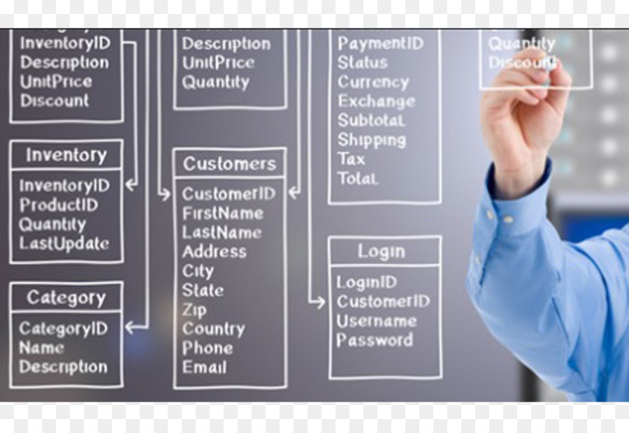 Diagram Basis Data，Data PNG