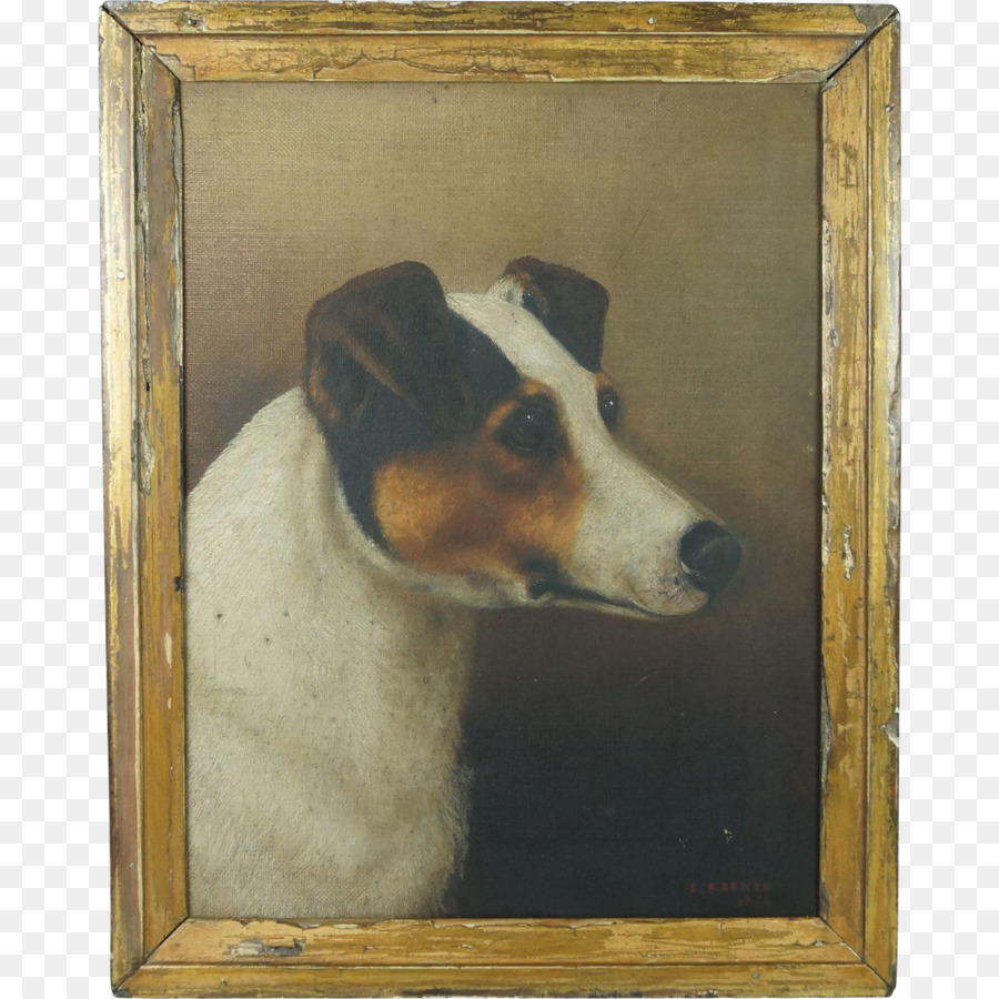 Jack Russell Terrier，Anjing Berkembang Biak PNG