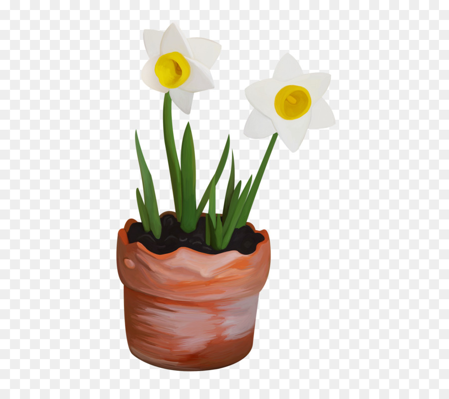Narcissus，Pot Bunga PNG