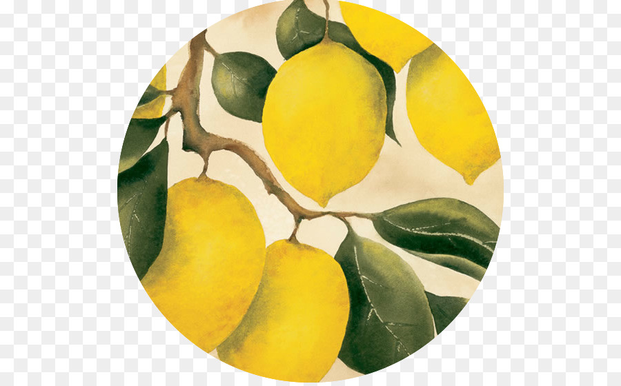 Lemon，Orchard PNG