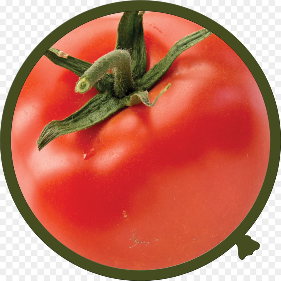 Tomat Plum，Bush Tomat PNG