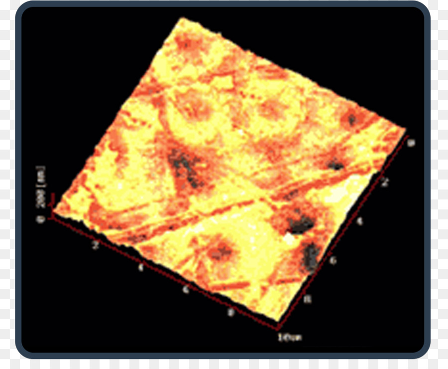 Fluoropolymer，Etfe PNG