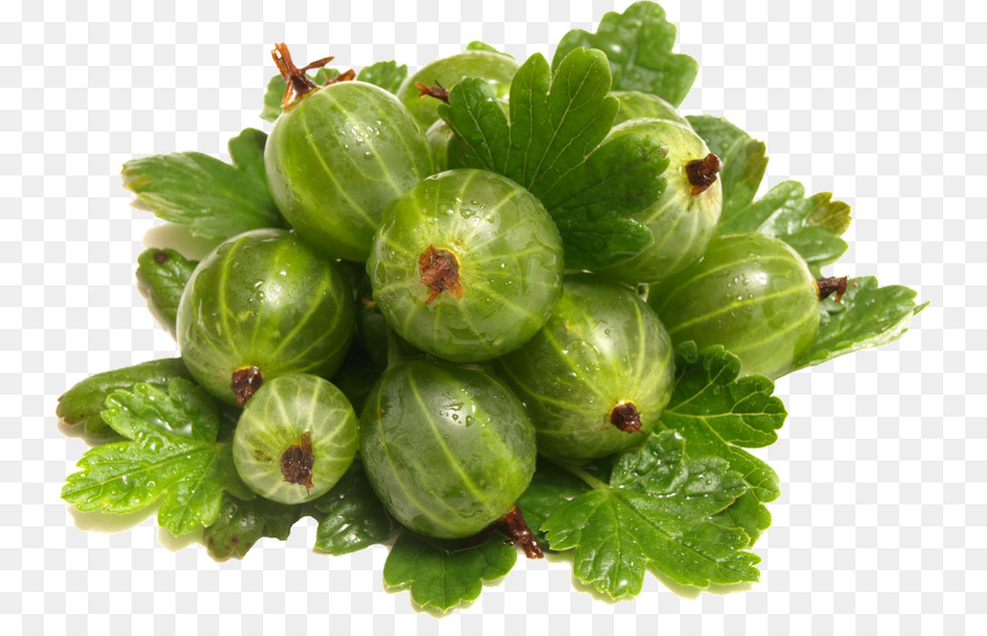 Gooseberry，Hijau PNG