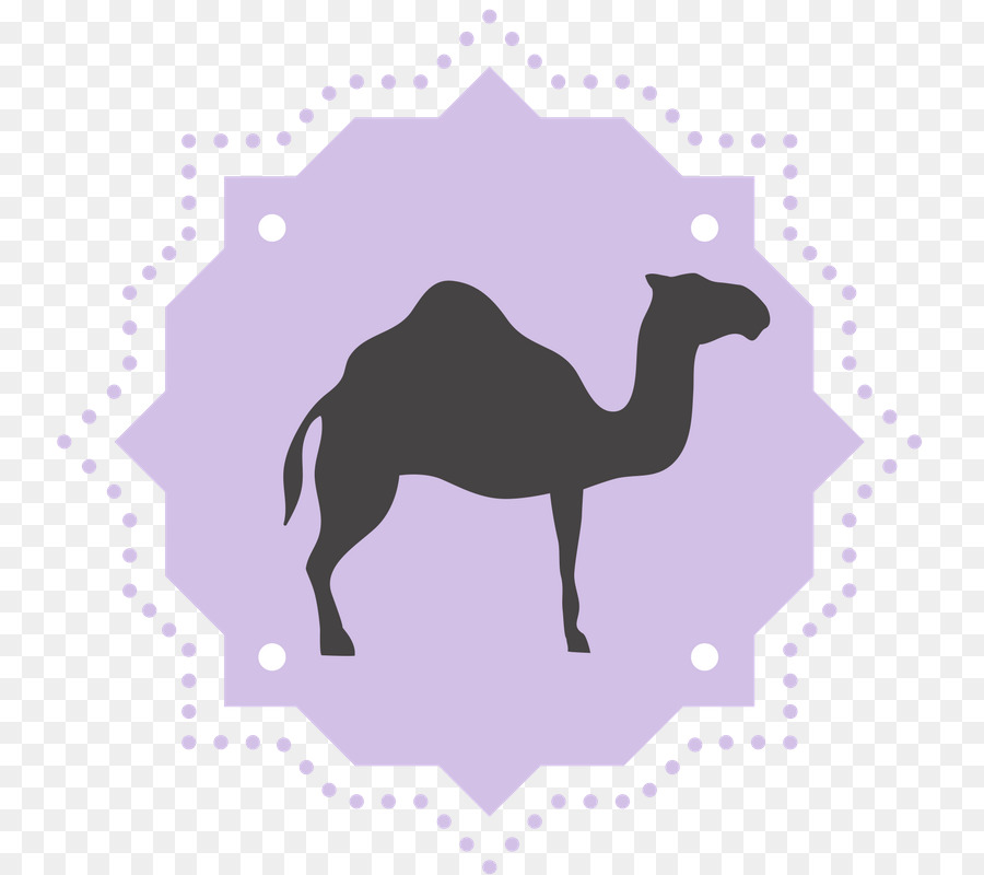 Dromedary，Alkitab Magi PNG