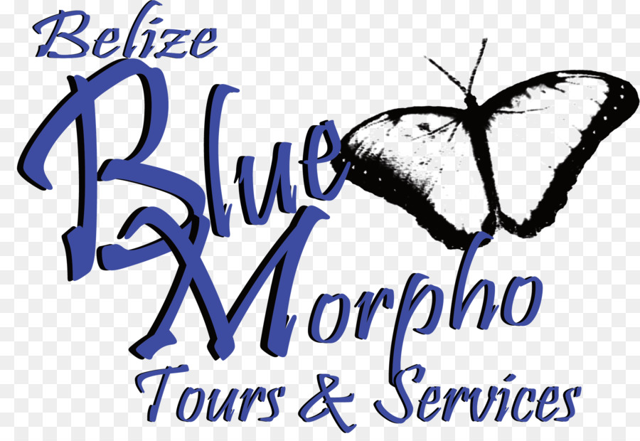 Belize Blue Morpho Tur Dan Jasa，Blue Morpho Ayahuasca Pusat PNG