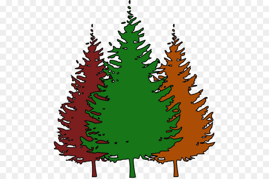Pohon Natal，Cemara PNG