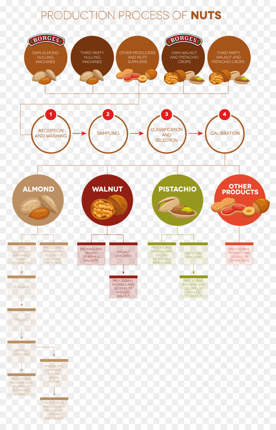 Produksi，Proses Produksi PNG