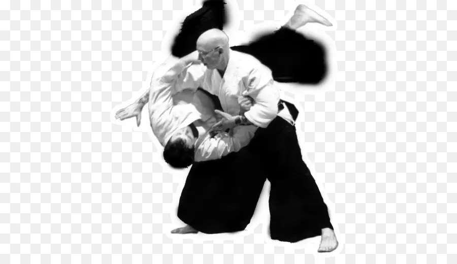 Praktisi Aikido，Aikido PNG