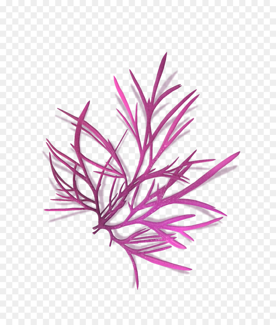 Garis，Pink M PNG