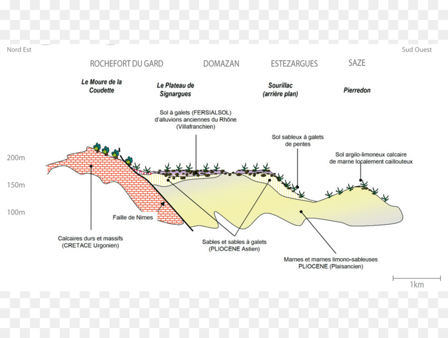 Tiang Tiang，Châteauneufdupape Aoc PNG