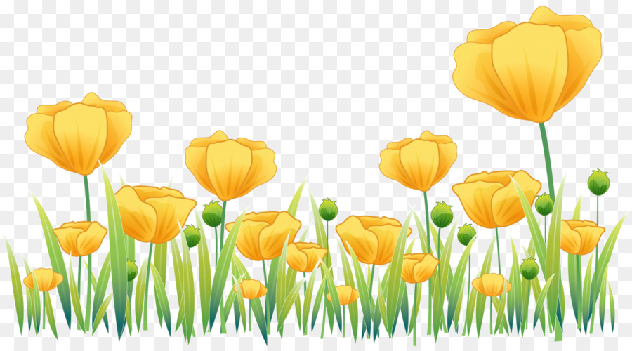 Tulip Kuning，Musim Semi PNG