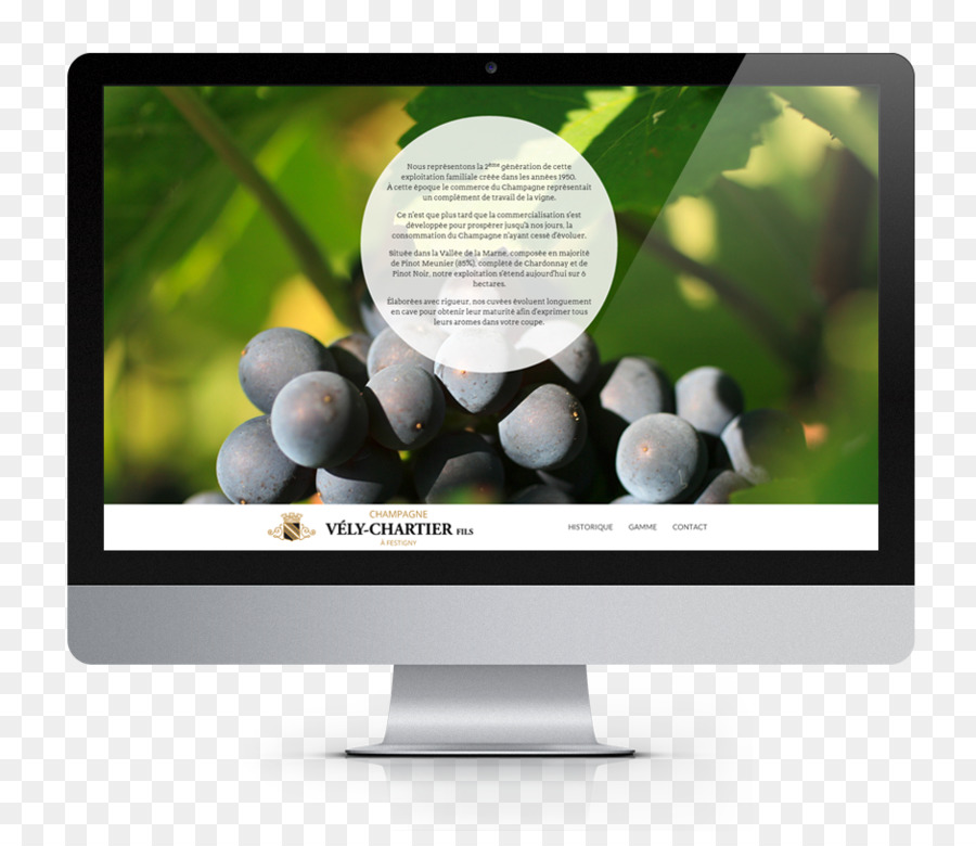 Pengembangan Web，Desain Web PNG