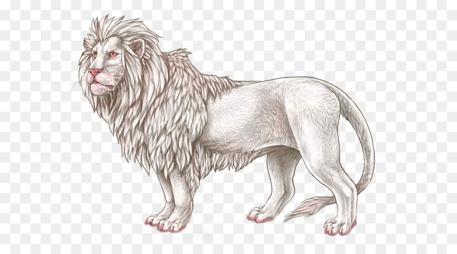 Singa，Kucing Besar PNG