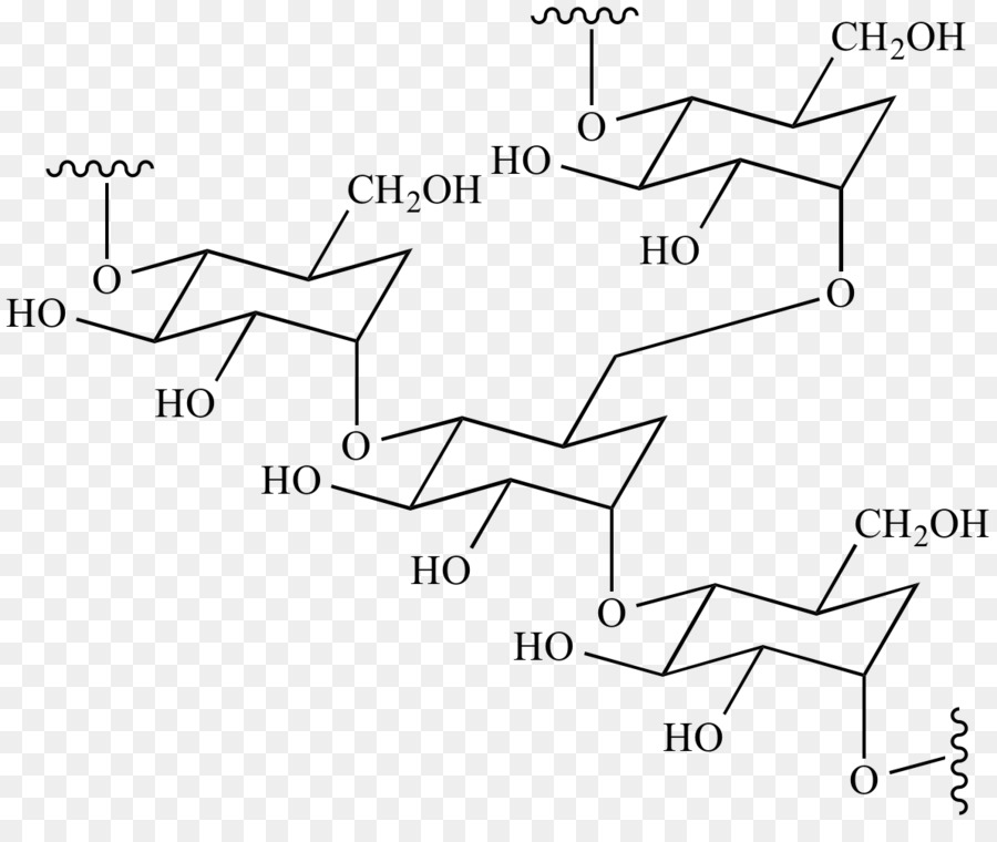 Monomer，Polimer PNG