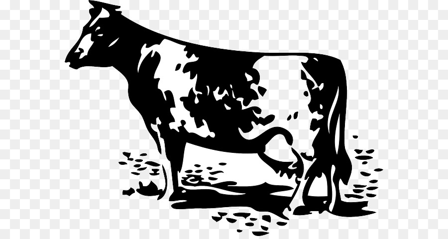 Holstein Friesian Ternak，Pertanian PNG