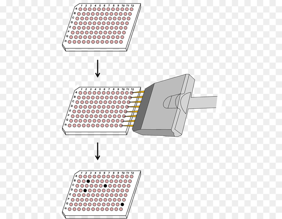 Crispr，Sel PNG