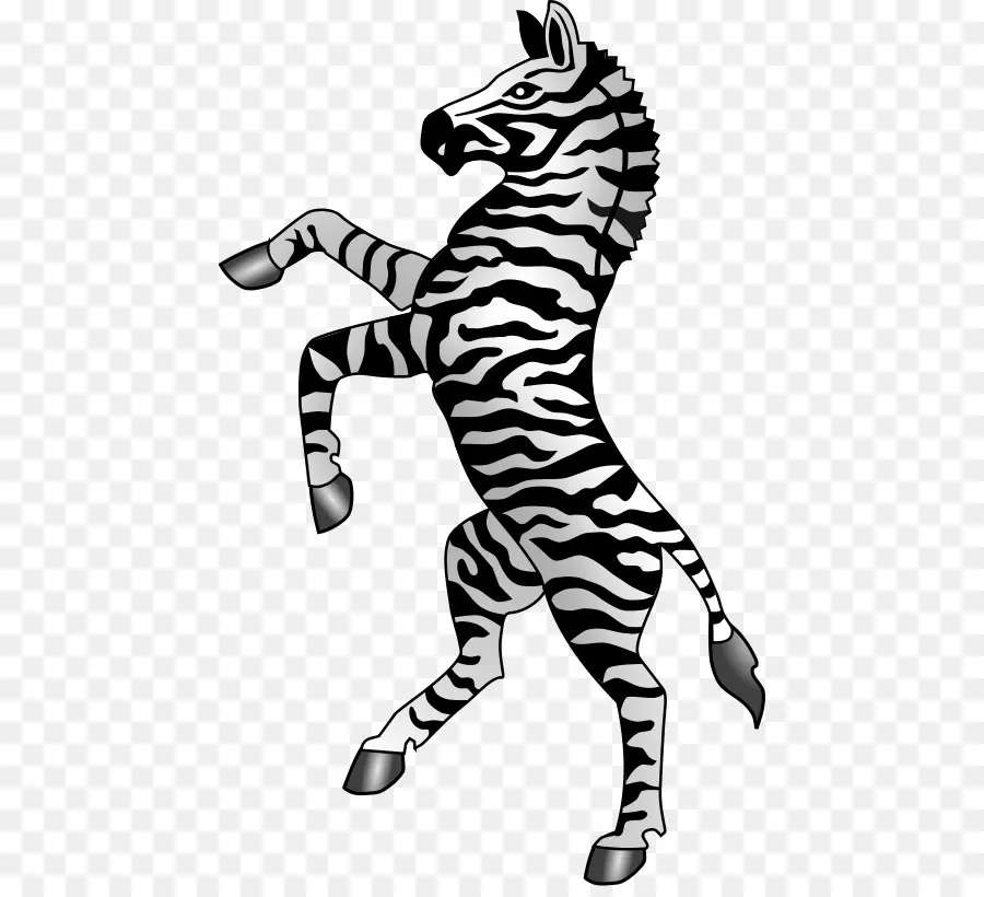 Pemeliharaan Zebra，Garis Garis PNG