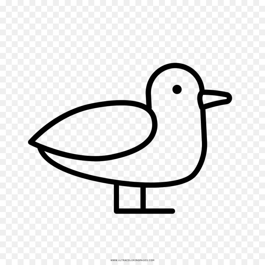 Burung，Seni Garis PNG