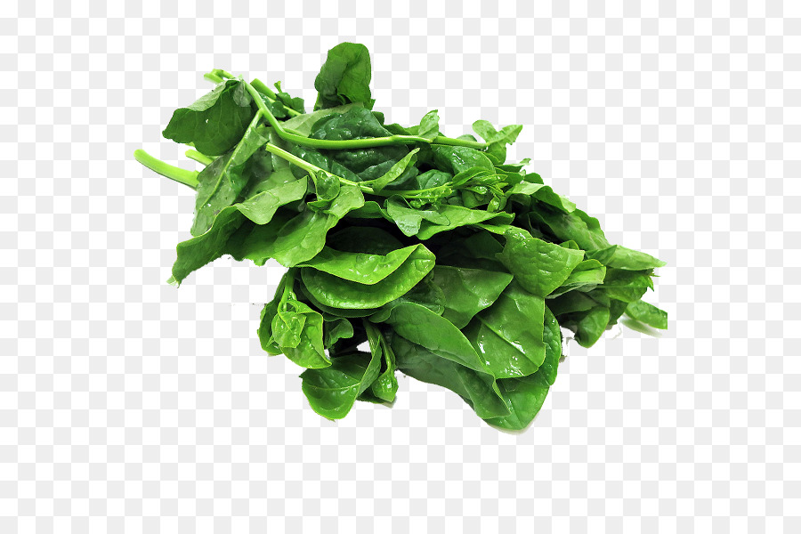 Arugula，Daun Daun PNG