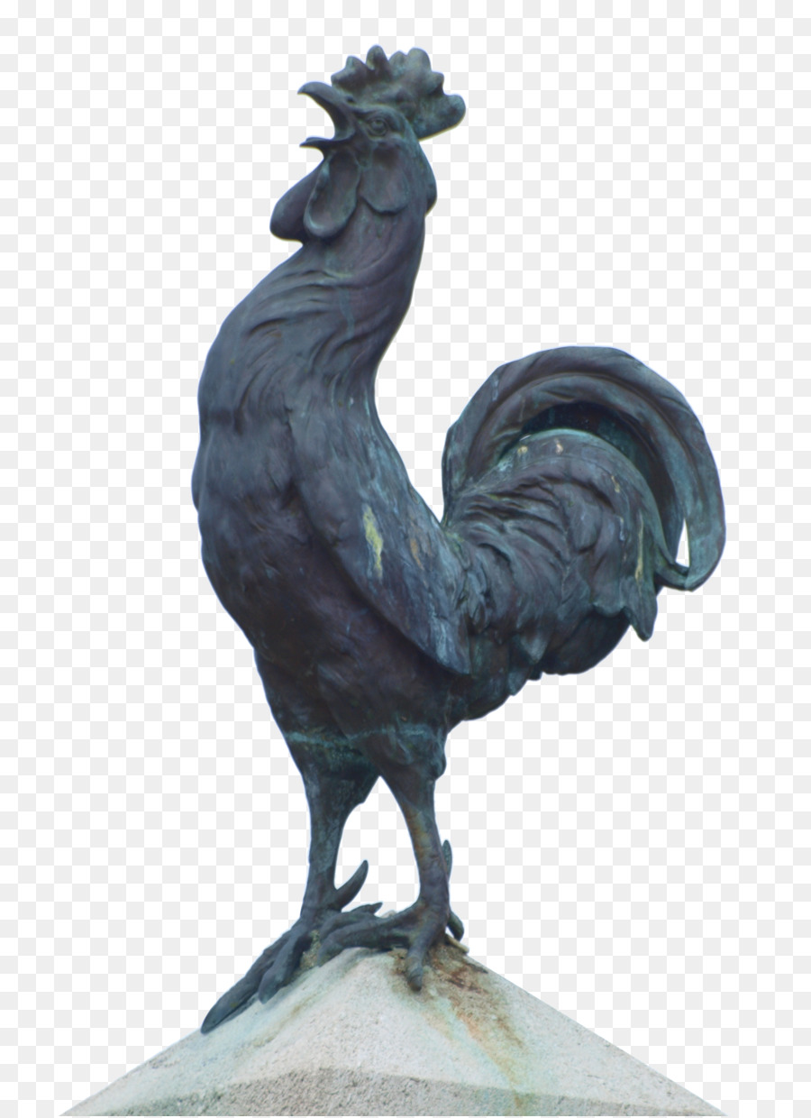 Ayam，Perunggu PNG