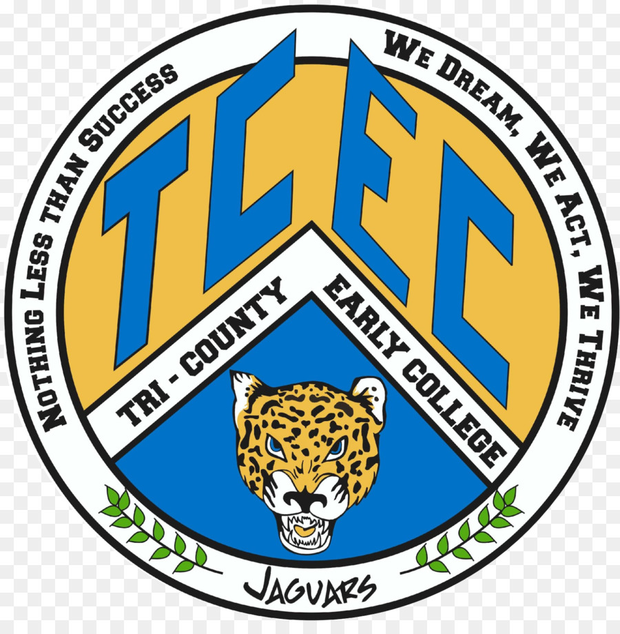 Perguruan Tinggi Negeri Tri County，Tricounty Awal Perguruan Tinggi Sekolah Tinggi PNG