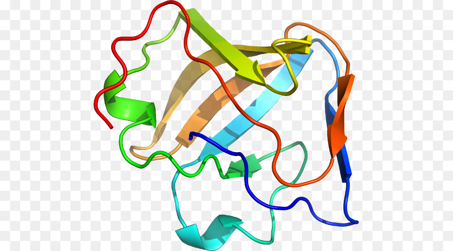 Struktur Protein，Biologi PNG