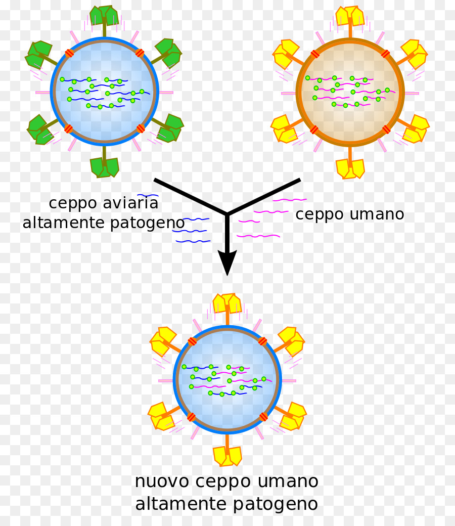 Ilustrasi Virus，Virus PNG