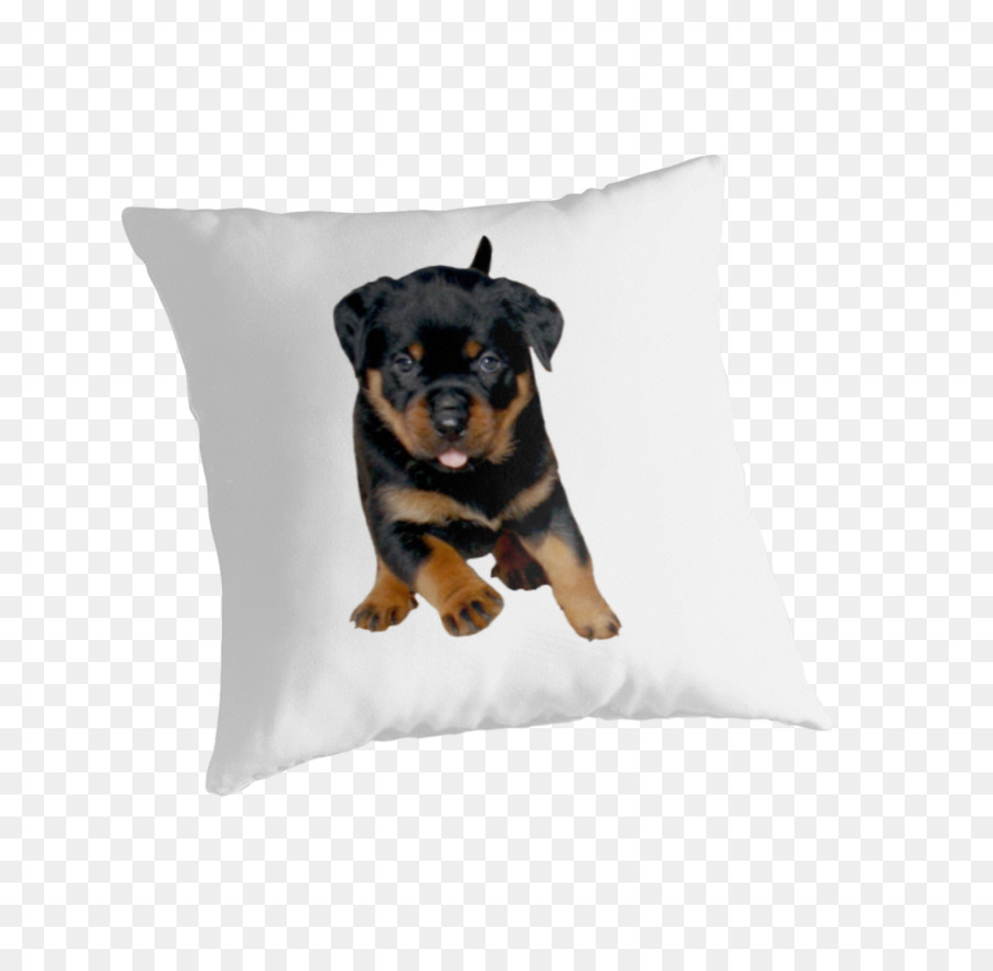 Rottweiler，Anjing PNG