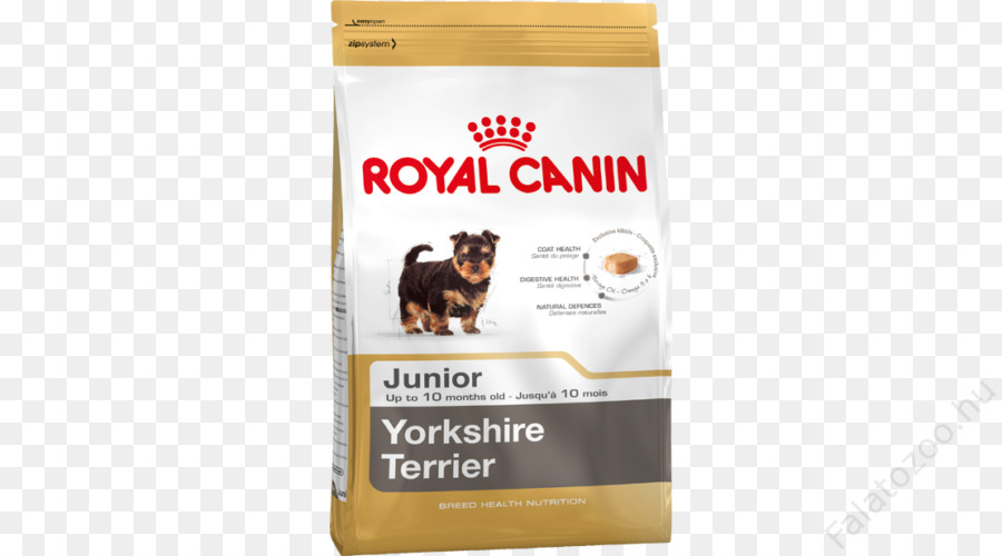 Anjing，Yorkshire Terrier PNG