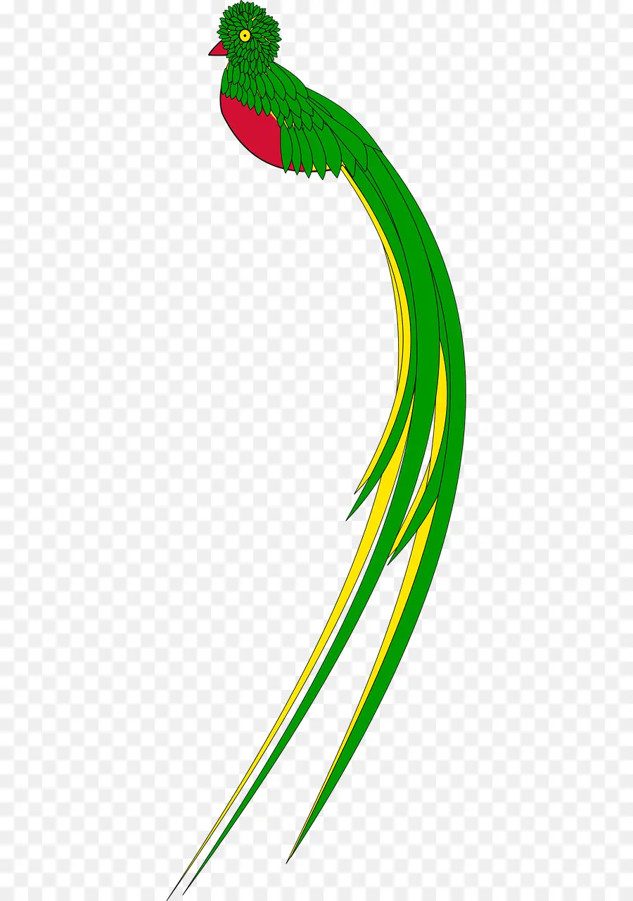 Burung，Gemerlapan Quetzal PNG