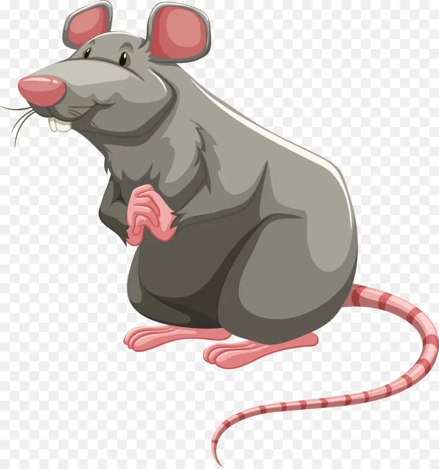 Tikus Kartun，Hewan PNG