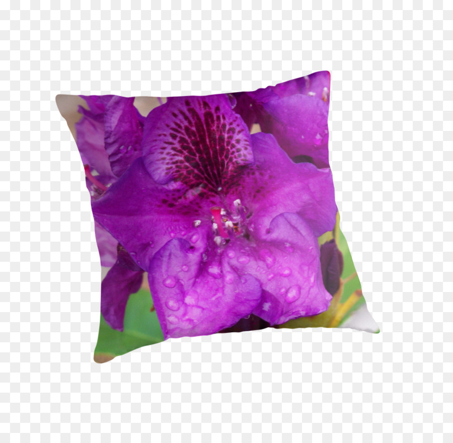 Bantal， PNG