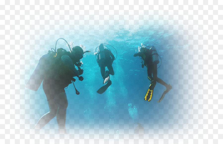 Scuba Diving，Marsa Alam PNG