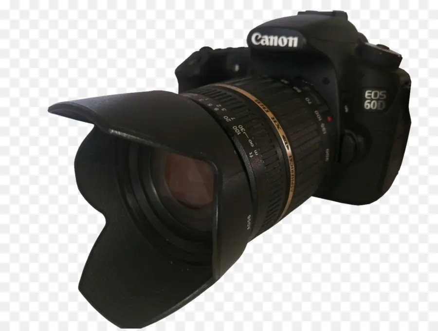 Digital Slr，Lensa Kamera PNG