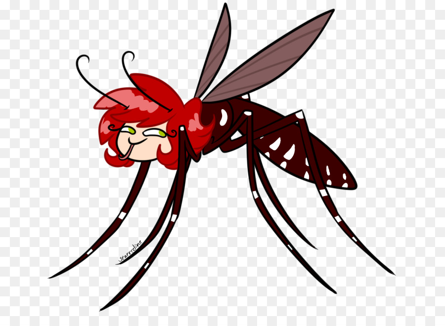 Nyamuk，Serangga PNG