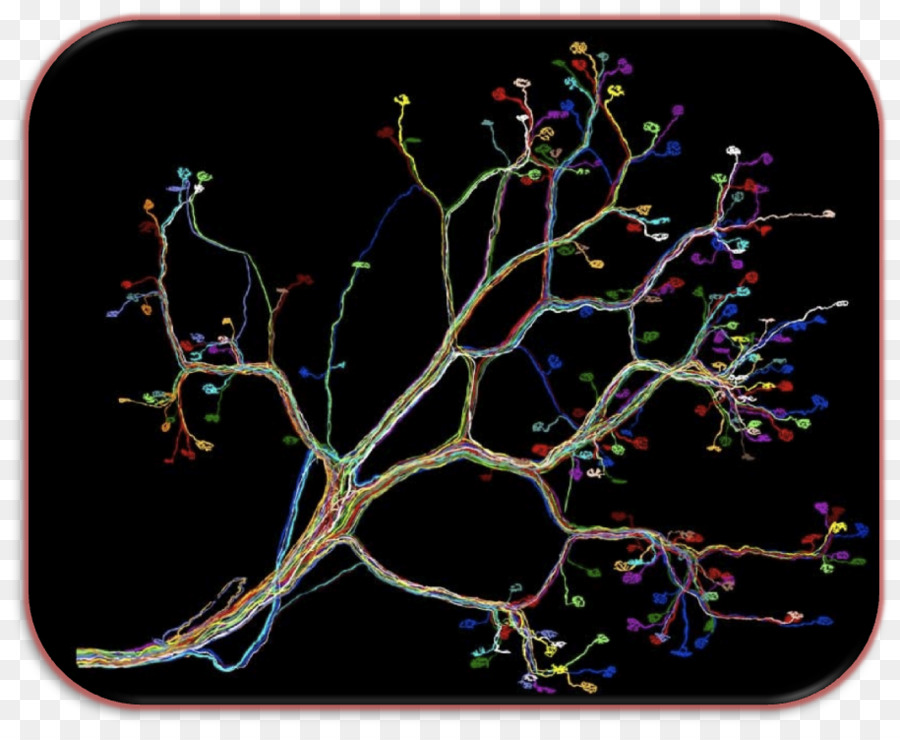 Sirkuit Neural，Neuron PNG