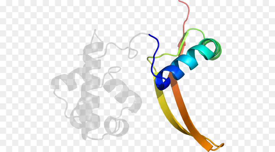 Struktur Protein，Molekul PNG