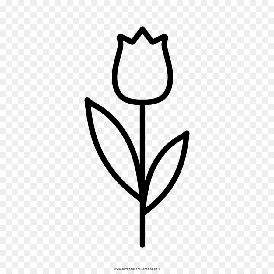 Bunga Tulip Buku Mewarnai Gambar Png