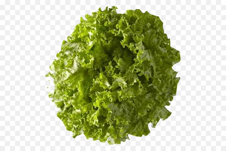 Selada Romaine，Makanan PNG