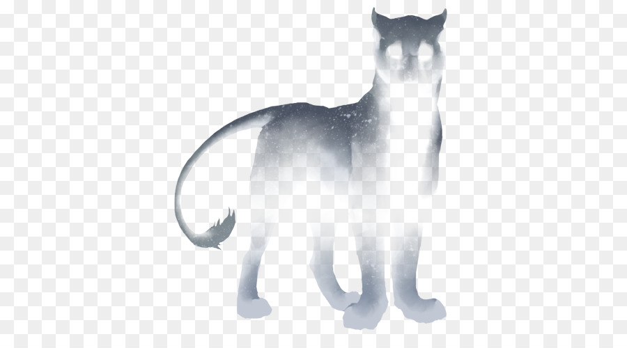 Kucing Hantu，Mata PNG