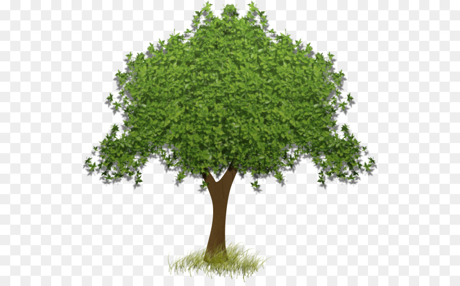 Pohon，Ikon Komputer PNG