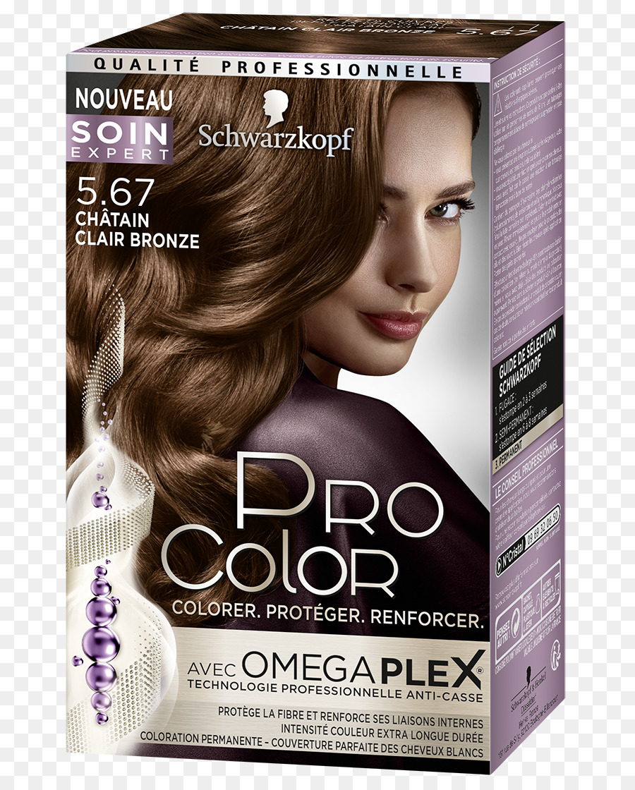 Cokelat，Schwarzkopf PNG