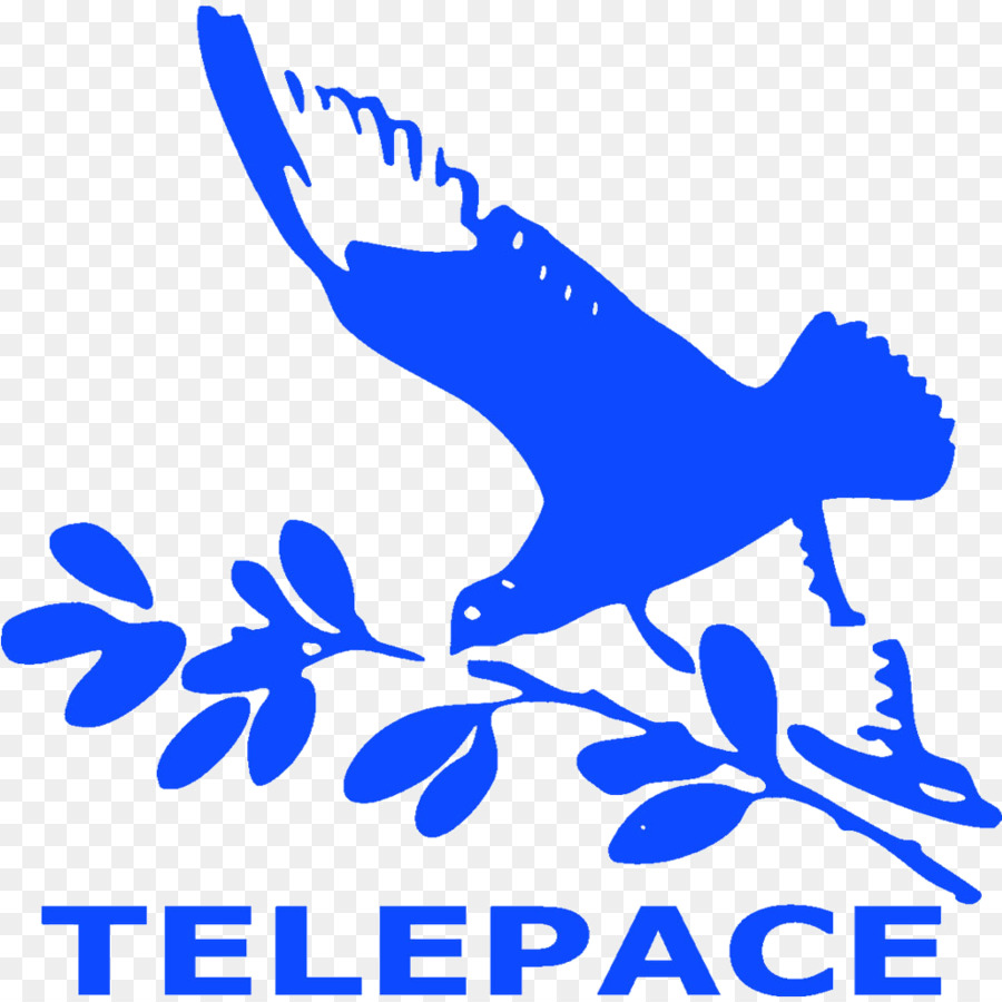 Telepace，Televisi PNG