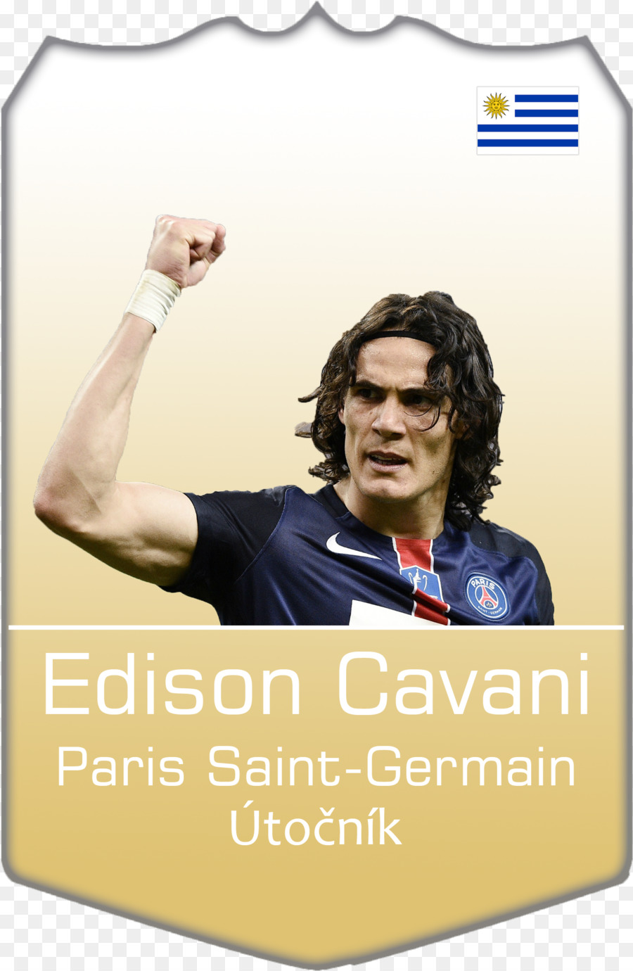 Edinson Cavani，Nike Hypervenom PNG