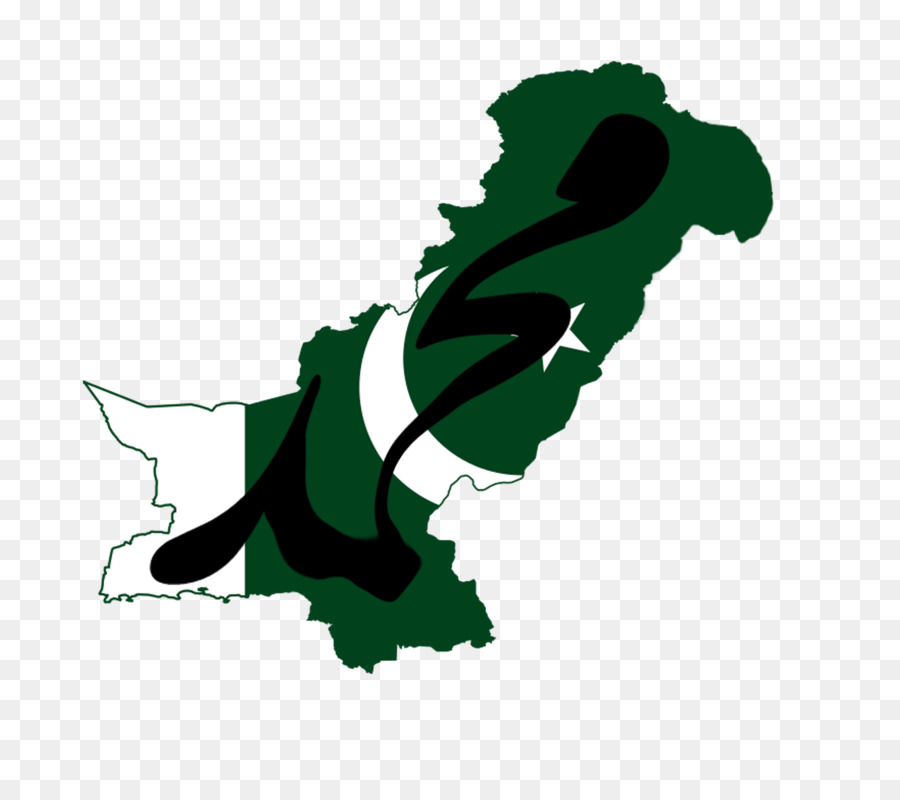 Pakistan，Amerika Serikat PNG