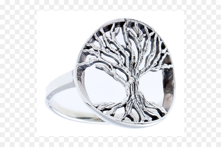 Cincin，Sterling Silver PNG