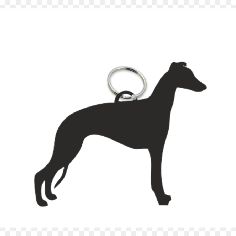 Whippet，Greyhound PNG